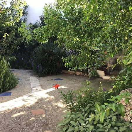 John Actors Home كافالا المظهر الخارجي الصورة