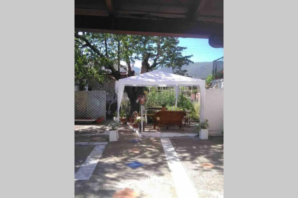 John Actors Home كافالا المظهر الخارجي الصورة